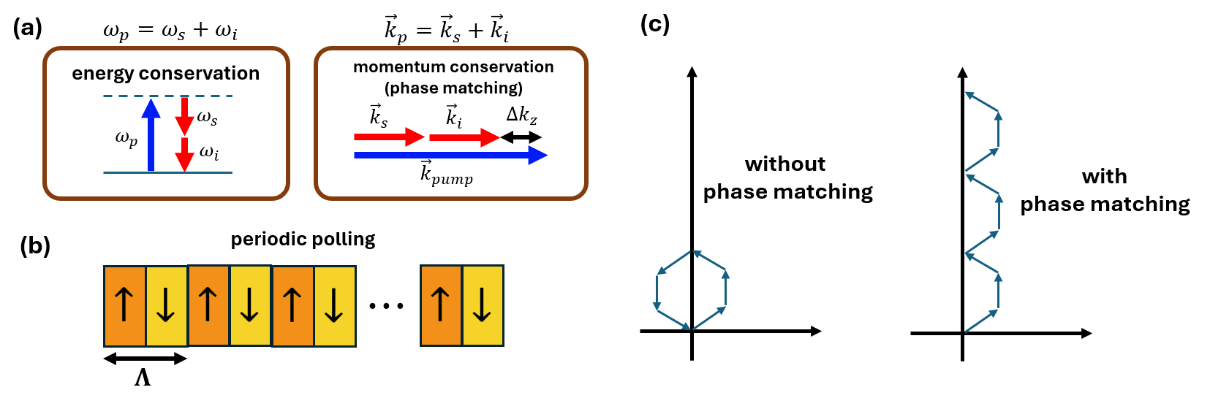 Periodic poling